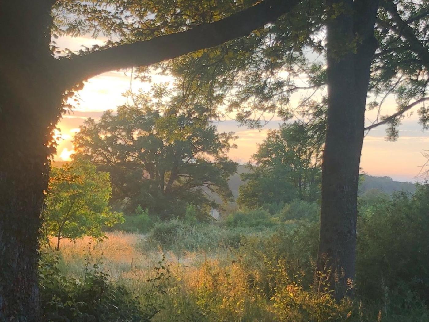 Domaine La Faix, Gite La Chouette Saint-Plaisir Exteriér fotografie