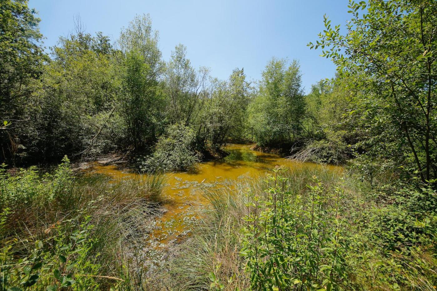 Domaine La Faix, Gite La Chouette Saint-Plaisir Exteriér fotografie