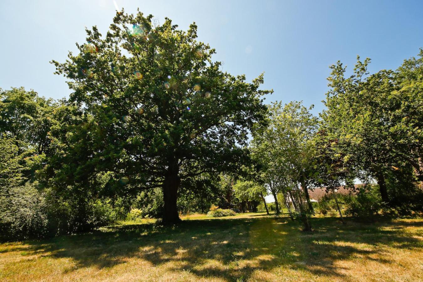 Domaine La Faix, Gite La Chouette Saint-Plaisir Exteriér fotografie