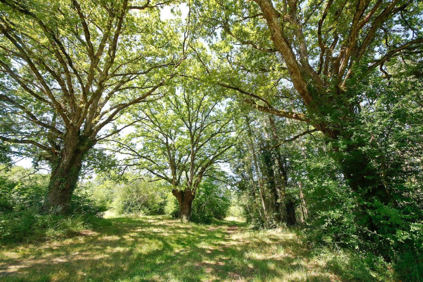 Domaine La Faix, Gite La Chouette Saint-Plaisir Exteriér fotografie