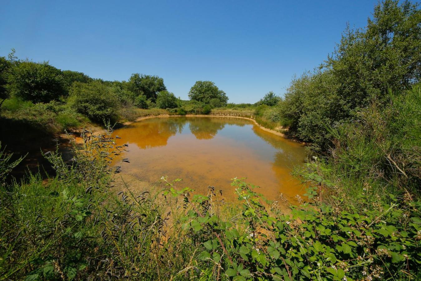 Domaine La Faix, Gite La Chouette Saint-Plaisir Exteriér fotografie